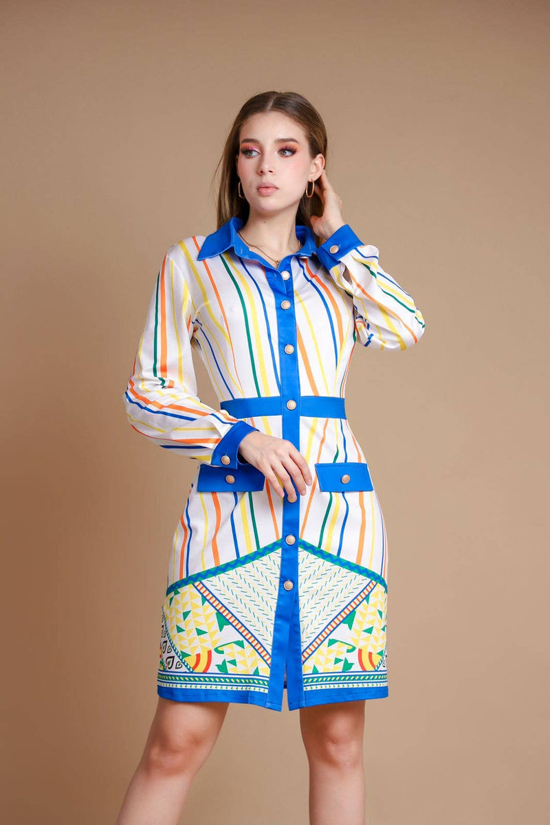 Multi Stripe Button Front Shirt Dress