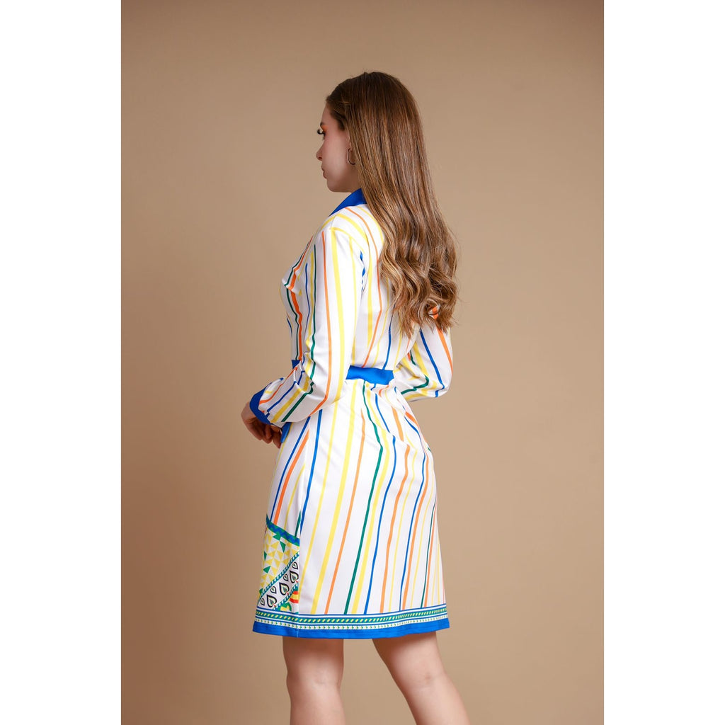 Multi Stripe Button Front Shirt Dress