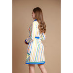 Multi Stripe Button Front Shirt Dress