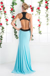 Halter Neck Sheath Shape Long Evening Dress CD8110