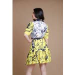 Half Sleeve Mini Dress