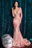 Deep V-Neck Mermaid  Dress CD0168