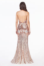 Sequined Mermaid Shape Long Dress CDJ9099